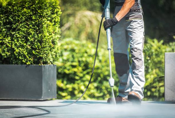 Best Oil Spill Cleanup  in Bellerose, NY
