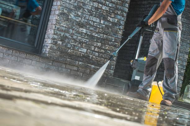 Best Building Exterior Washing  in Bellerose, NY