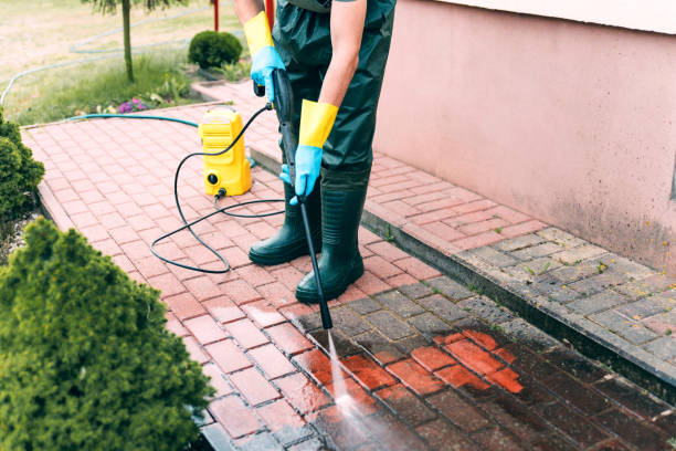 Best Factory Floor Cleaning  in Bellerose, NY